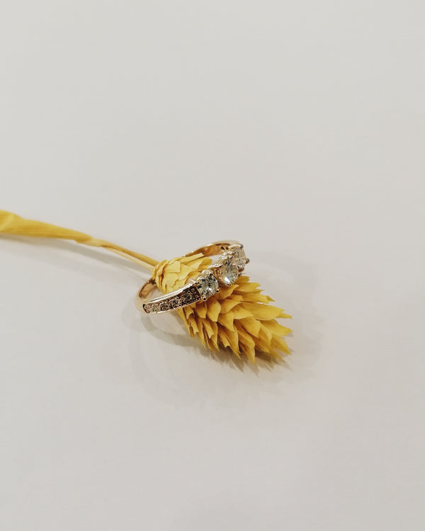 Bague avec diamants
Bijoux faits main à Lyon
Créatrice / artisane de bijoux
En or 18 carats
Joaillerie responsable
Sur-mesure